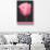 Holland, Michigan, Pink Tulip-null-Art Print displayed on a wall