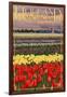 Holland, Michigan - Tulip Fields-Lantern Press-Framed Art Print