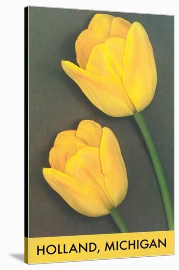 Holland, Michigan, Yellow Tulips-null-Stretched Canvas