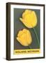 Holland, Michigan, Yellow Tulips-null-Framed Art Print