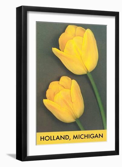 Holland, Michigan, Yellow Tulips-null-Framed Art Print