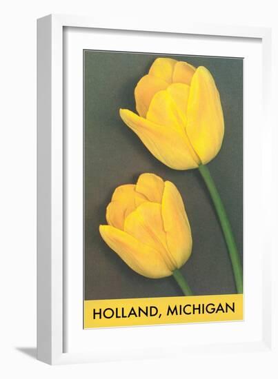 Holland, Michigan, Yellow Tulips-null-Framed Art Print