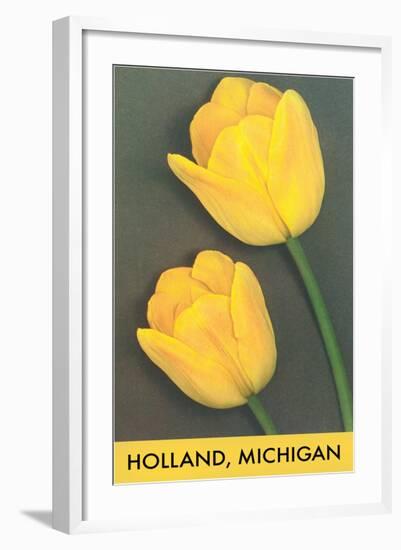 Holland, Michigan, Yellow Tulips-null-Framed Art Print