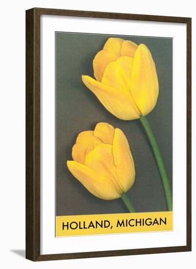 Holland, Michigan, Yellow Tulips-null-Framed Art Print