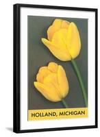 Holland, Michigan, Yellow Tulips-null-Framed Art Print