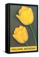 Holland, Michigan, Yellow Tulips-null-Framed Stretched Canvas