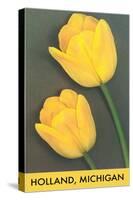 Holland, Michigan, Yellow Tulips-null-Stretched Canvas