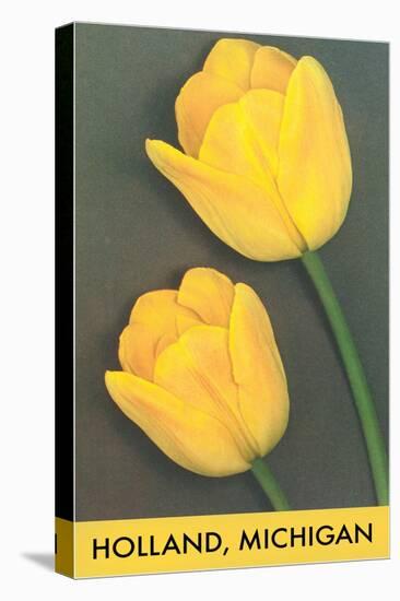 Holland, Michigan, Yellow Tulips-null-Stretched Canvas