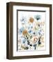 Holland Spring Mix II-Carol Robinson-Framed Art Print