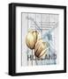 Holland Tulips-Alicia Soave-Framed Art Print