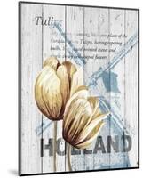 Holland Tulips-Alicia Soave-Mounted Art Print