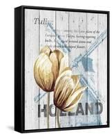 Holland Tulips-Alicia Soave-Framed Stretched Canvas