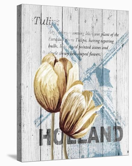 Holland Tulips-Alicia Soave-Stretched Canvas