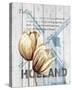 Holland Tulips-Alicia Soave-Stretched Canvas