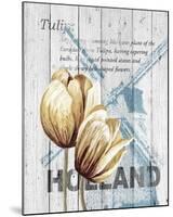 Holland Tulips-Alicia Soave-Mounted Art Print