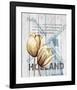 Holland Tulips-Alicia Soave-Framed Art Print