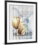 Holland Tulips-Alicia Soave-Framed Art Print