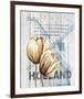 Holland Tulips-Alicia Soave-Framed Art Print