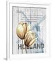 Holland Tulips-Alicia Soave-Framed Art Print