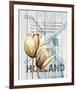 Holland Tulips-Alicia Soave-Framed Art Print