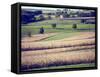 Hollandale, Farm View, Wisconsin-Walter Bibikow-Framed Stretched Canvas