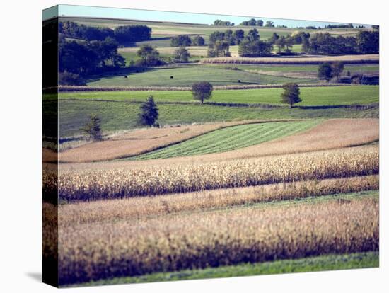 Hollandale, Farm View, Wisconsin-Walter Bibikow-Stretched Canvas