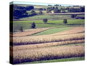 Hollandale, Farm View, Wisconsin-Walter Bibikow-Stretched Canvas