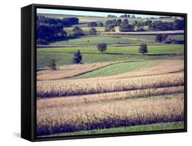 Hollandale, Farm View, Wisconsin-Walter Bibikow-Framed Stretched Canvas