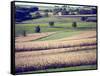 Hollandale, Farm View, Wisconsin-Walter Bibikow-Framed Stretched Canvas