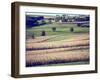 Hollandale, Farm View, Wisconsin-Walter Bibikow-Framed Premium Photographic Print