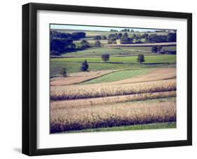 Hollandale, Farm View, Wisconsin-Walter Bibikow-Framed Premium Photographic Print
