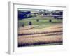 Hollandale, Farm View, Wisconsin-Walter Bibikow-Framed Premium Photographic Print