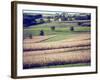 Hollandale, Farm View, Wisconsin-Walter Bibikow-Framed Photographic Print