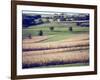 Hollandale, Farm View, Wisconsin-Walter Bibikow-Framed Photographic Print