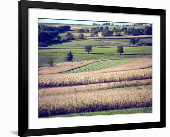 Hollandale, Farm View, Wisconsin-Walter Bibikow-Framed Photographic Print