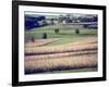 Hollandale, Farm View, Wisconsin-Walter Bibikow-Framed Photographic Print