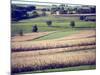 Hollandale, Farm View, Wisconsin-Walter Bibikow-Mounted Photographic Print