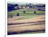 Hollandale, Farm View, Wisconsin-Walter Bibikow-Framed Photographic Print