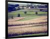 Hollandale, Farm View, Wisconsin-Walter Bibikow-Framed Photographic Print