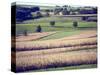 Hollandale, Farm View, Wisconsin-Walter Bibikow-Stretched Canvas