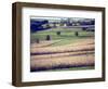 Hollandale, Farm View, Wisconsin-Walter Bibikow-Framed Photographic Print
