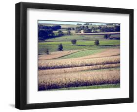 Hollandale, Farm View, Wisconsin-Walter Bibikow-Framed Photographic Print