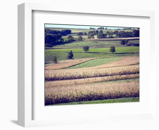 Hollandale, Farm View, Wisconsin-Walter Bibikow-Framed Photographic Print