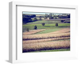 Hollandale, Farm View, Wisconsin-Walter Bibikow-Framed Photographic Print