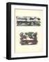 Hollande-Jean Rene Bazaine-Framed Premium Edition