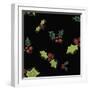 White Frame