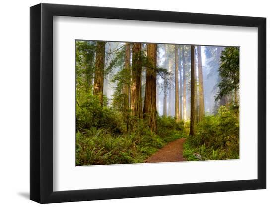 Premium Photographic Print, , large