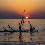 USA, Georgia, Jekyll Island, Sunrise on Driftwood Beach of petrified trees-Hollice Looney-Photographic Print