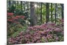Wood Mount