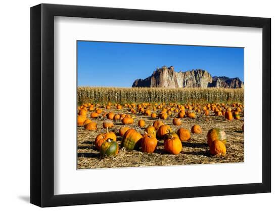 Premium Photographic Print, , large